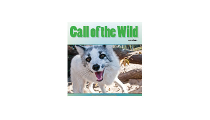 Wildlife newsletter
